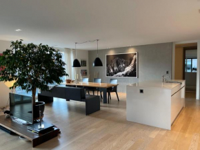 Top moderne, grosszügige City-Wohnung mit super fast WLAN